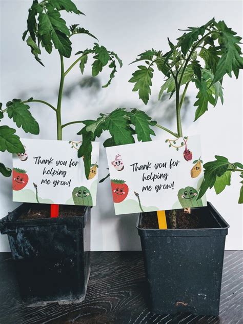 Free Printable Plant Themed Tags for Teacher Appreciation Gift