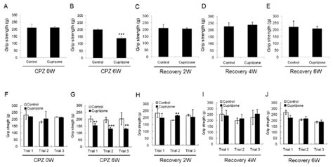 Results of the grip strength test. (A-E) The graphs show the average... | Download Scientific ...