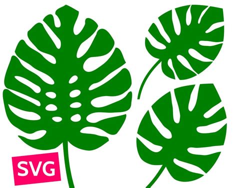 3 Monstera Leaf SVG files for Cricut SVG Bundle Monstera