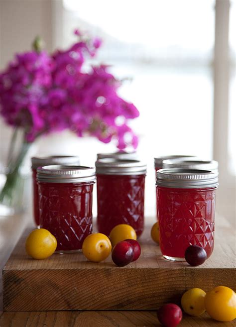 Recipe: Wild Plum Jam | Recipe | Wild plum jam recipe, Plum jam, Jam recipes homemade