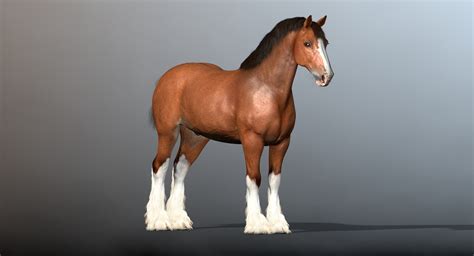 cinema4d clydesdale draft-horses