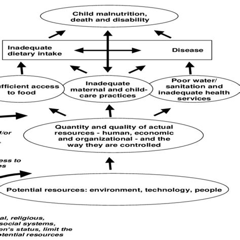 Causes of Child Malnutrition | Download Scientific Diagram