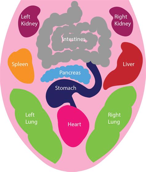 Healthy Tongue Vs Unhealthy Tongue