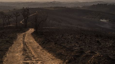 Brésil : la déforestation a augmenté de 25% sur un an dans le Cerrado ...