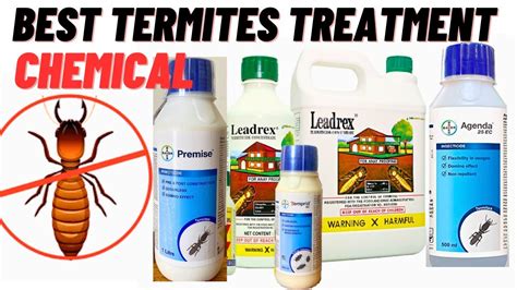 Best termites treatment chemical | Deemak treatment ke liye konsa chemical use kare | Bayer ...