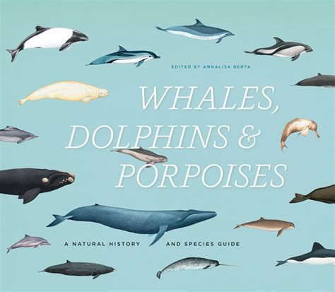 Whales, Dolphins, and Porpoises: A Natural History and Species Guide, Berta