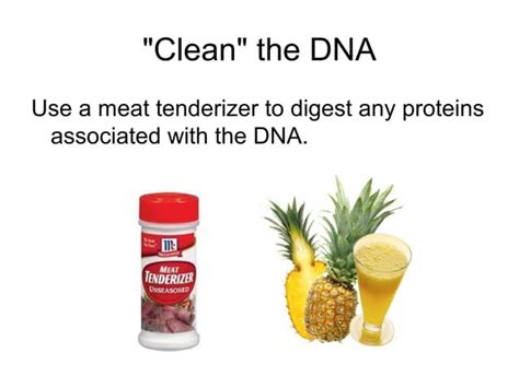 Banana dna lab isolating dna from a banana activity | PPT