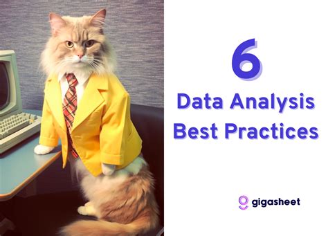 6 Data Analysis Best Practices: Expert Tips and Techniques