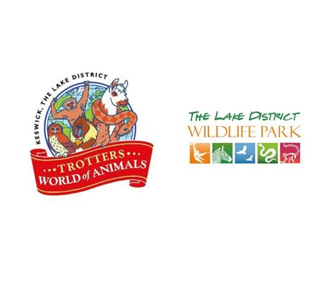 The Lake District Wildlife Park – Jili Allen Creative – Graphic Design and Web Design – Your ...