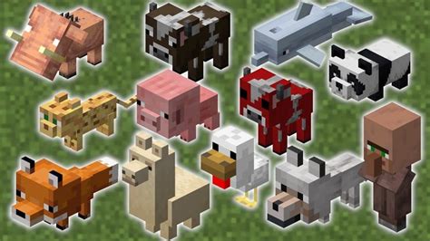 Best Animals In Minecraft: Where To Find & How To Tame Them