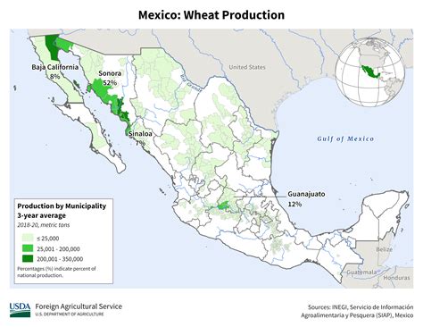 Central America - Mexico, Central America and Caribbean - Crop Production Maps