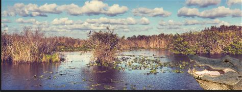 Storm Preparedness with FWC - WKGC-FM Public Radio