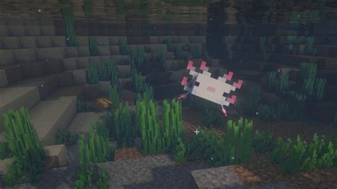 Minecraft axolotl guide – how to find, breed, and tame