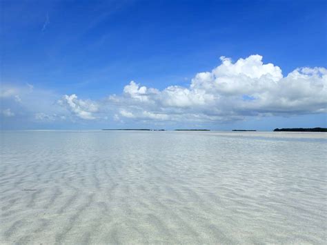 Sandbar Photos - Sandbar Charters