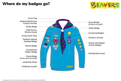 uniform-badge-placement-diagrams-beavers-pdf edit 1 | Sketty Scout Group