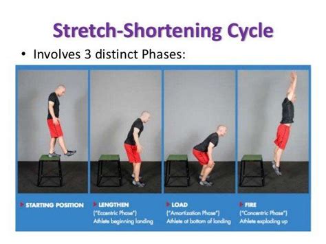 ECCENTRIC TRAINING