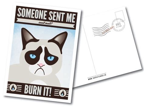 Grumpy Cat Hates Mail Postcard | Postcard mailing, Grumpy cat, Postcard