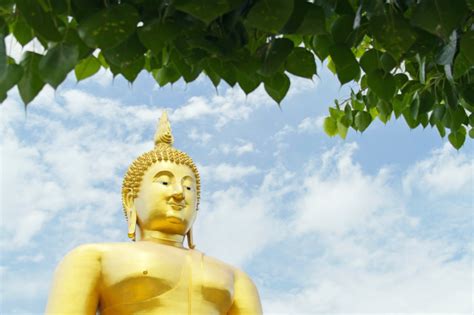 Bodhi Day - A Celebration of Buddhism - ULC Blog - Universal Life Church