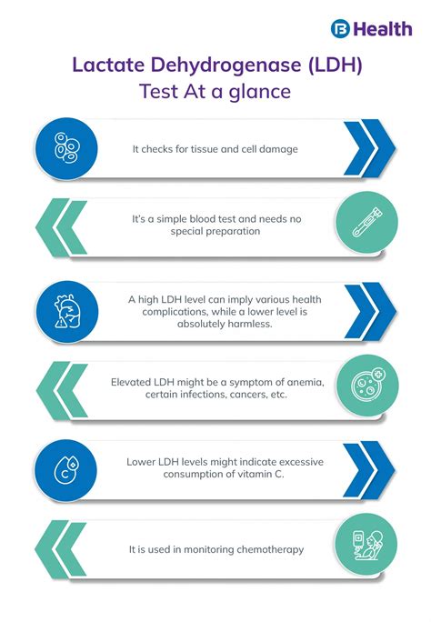 LDH Test: Normal Range, Types, Procedure, and Results