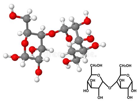 Maltose Molecule with Chemical Formula Stock Illustration - Illustration of connection ...