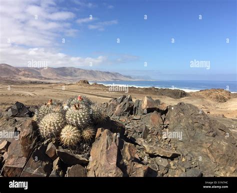 Coastline of northern Chile Stock Photo - Alamy