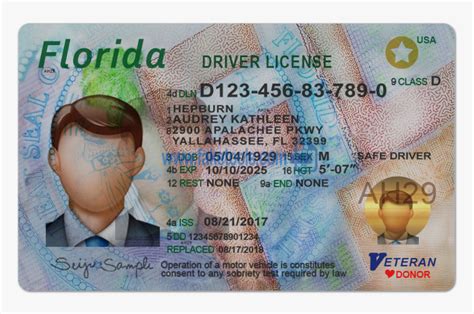 Fl Drivers License Template