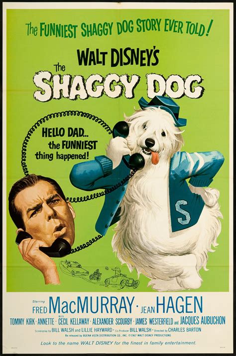 Movie Poster for the 1967 rerelease of the Walt Disney film "The Shaggy ...