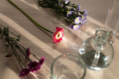 Bunch of tender Boltonia asteroides flowers in glass vase · Free Stock Photo