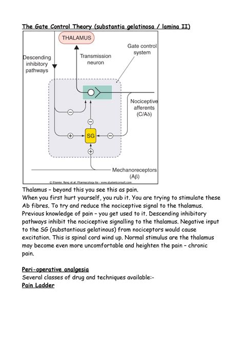 Gate Control Theory - When you first hurt yourself, you rub it. You are ...