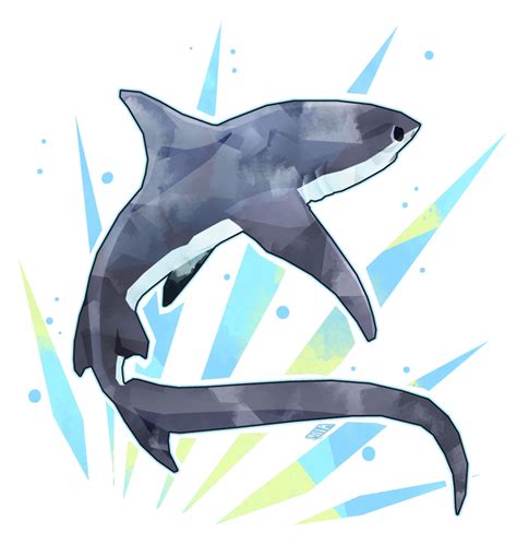 Thresher Shark by Stormful on DeviantArt | Shark art, Shark drawing, Animal drawings