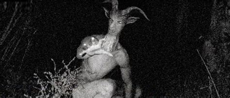 Who Is Goatman? Five Things To Know About Horrific Urban Legend – Hollywood Life