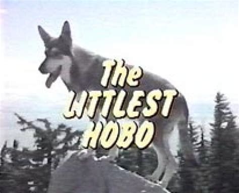 The Littlest Hobo (1979) Season 3 Air Dates & Count