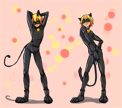 wounded cat noir and ladybug gone - Google Search | Miraculous ladybug ...