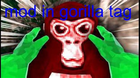 mod in gorilla tag - YouTube