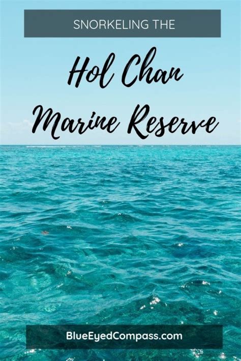 Snorkeling the Hol Chan Marine Reserve – Blue Eyed Compass