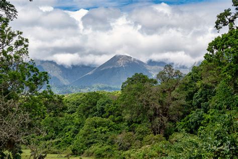 Nature by Nat Photography - Arusha National Park