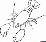 Lobster Coloring Page  Easy Drawing Guides sketch template