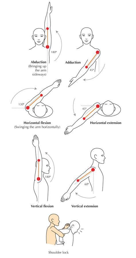 Shoulder Range Of Motion Chart The shoulder | Shoulder range of motion, Anatomy, Human anatomy ...