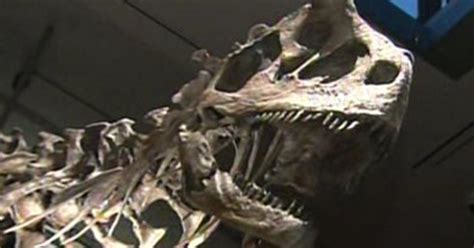 'Dinosaur Hall' To Open July 16 At Natural History Museum - CBS Los Angeles