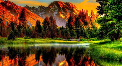 4K Nature Wallpapers on WallpaperDog