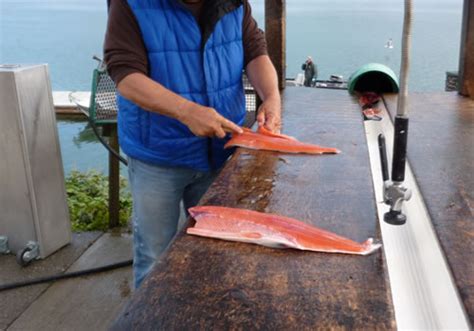 Fishing Near Gold Beach & Port Orford on the Rogue, Sixes & Elk Rivers