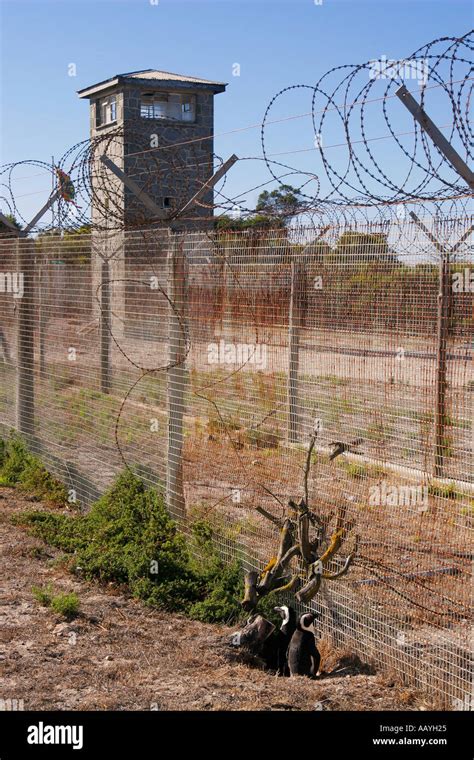 south africa Robben Island prison island of Nelson Mandela during ...