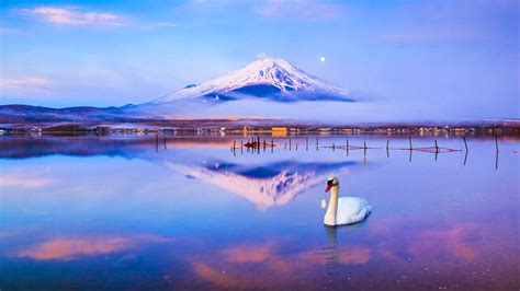 Tokyo: Mt. Fuji, Lake Kawaguchi, Yamanaka and Onsen Tour in Tokyo | Pelago