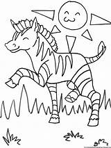 Zebra Coloring Pages  Free Printable Kids sketch template