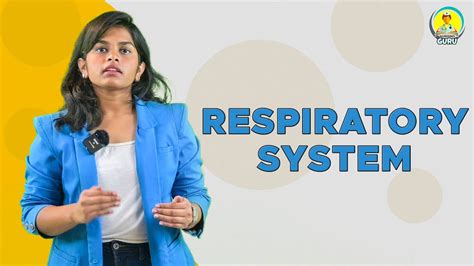 Respiratory System - Nursing Class - YouTube