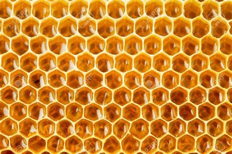 bee honey in honeycomb closeup Stock Photo - 14665427 | Beautiful dark ...