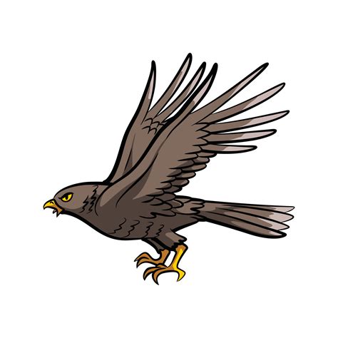 Eagle Vector Illustration 17736878 Vector Art at Vecteezy