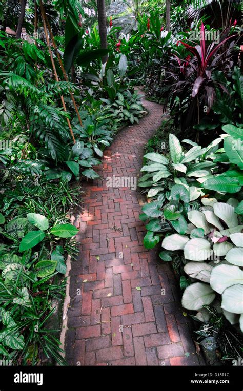 Jim Thompson house garden museum bangkok thailand tropical gardens ...