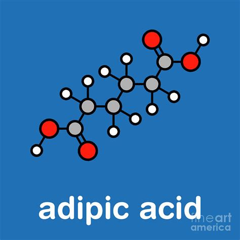 Adipic Acid Molecule Photograph by Molekuul/science Photo Library | Fine Art America