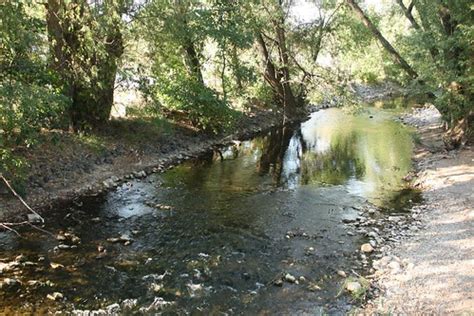 Logan River, at Elements restaurant, Logan, Utah | Marsha Maxwell | Flickr